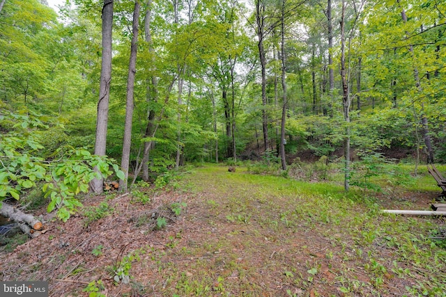 349 Covalt Rd, Needmore, PA 17238 - view of yard with a forest view