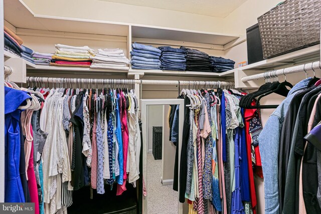 7810 Hanover Pkwy Unit 336, Greenbelt, MD 20770 - walk in closet with carpet floors