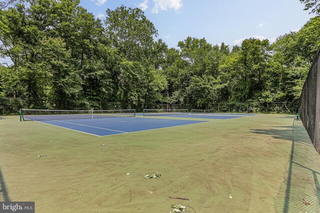 7810 Hanover Pkwy Unit 336, Greenbelt, MD 20770 - view of tennis court with community basketball court