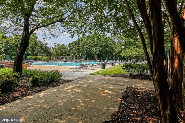 7810 Hanover Pkwy Unit 336, Greenbelt, MD 20770 - community pool with view of scattered trees and a patio