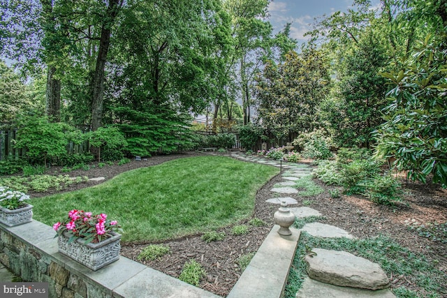 4212 Ingomar St NW, Washington, DC 20015 - view of yard