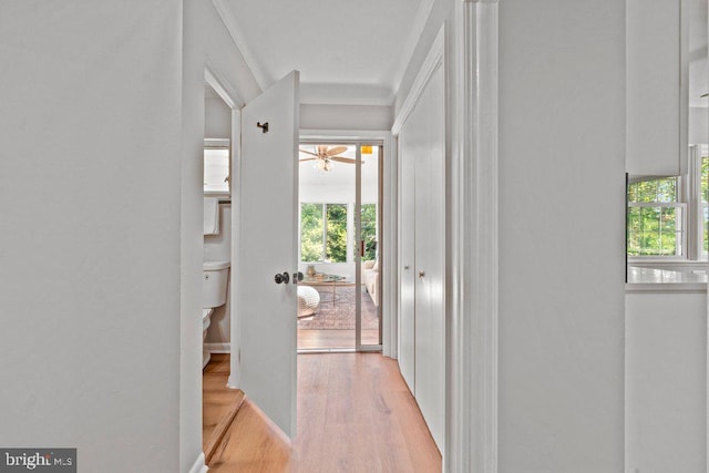 8818 Greens Ln, Randallstown, MD 21133 - hallway with light wood finished floors and baseboards