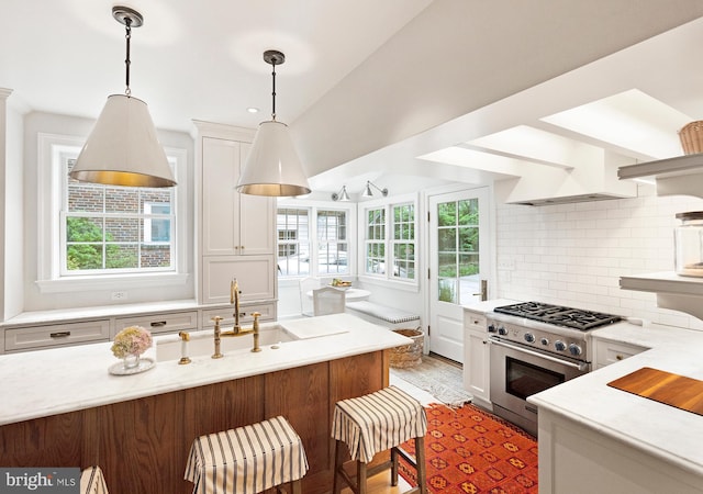 7006 Meadow Ln, Chevy Chase, MD 20815 - kitchen featuring high end stove, plenty of natural light, light countertops, and a sink
