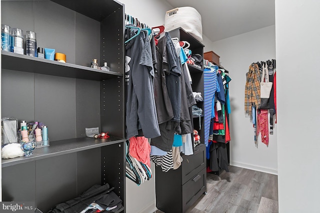 1408 Canopy Ln, Odenton, MD 21113 - walk in closet featuring wood finished floors