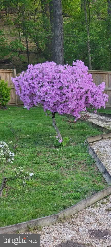 18924 Tributary Ln, Gaithersburg, MD 20879 - view of yard