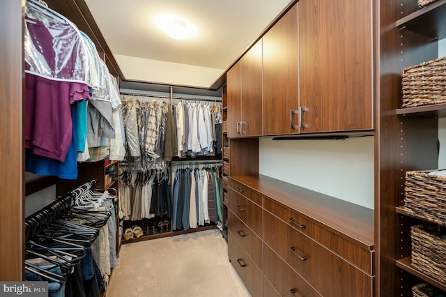 43 Battery Point Dr, Fredericksburg, VA 22406 - view of walk in closet