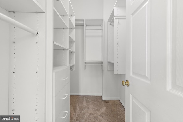1131 Long Beach Blvd, Long Beach Township, NJ 08008 - spacious closet with carpet