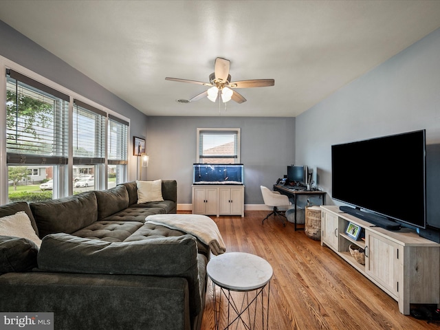 117 Washington Ave, Front Royal, VA 22630 - living area featuring light wood-type flooring, ceiling fan, and a desk