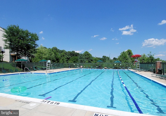 604 Highland Ridge Ave Unit 100, Gaithersburg, MD 20878 - view of community pool