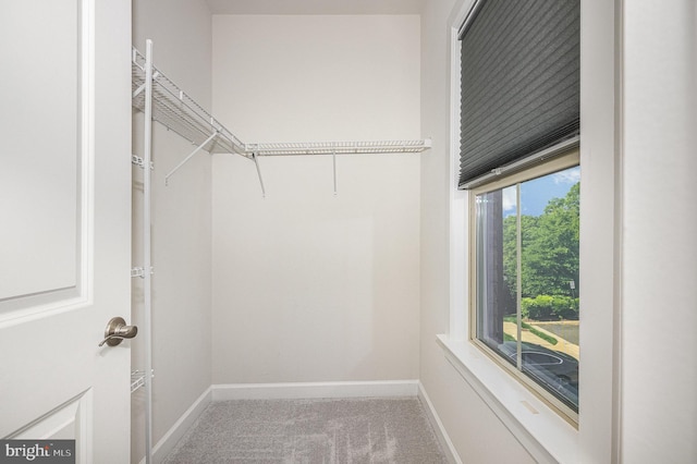 9073 Bear Branch Pl, Fairfax, VA 22031 - spacious closet featuring carpet
