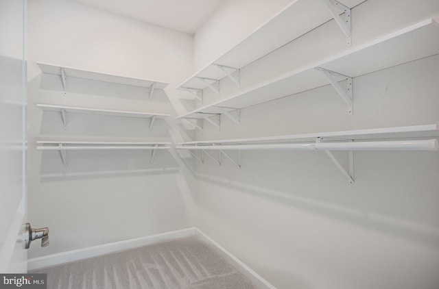 9073 Bear Branch Pl, Fairfax, VA 22031 - spacious closet featuring carpet flooring
