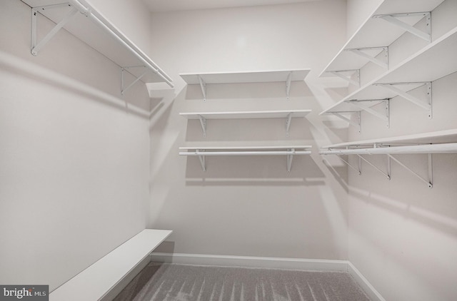 9073 Bear Branch Pl, Fairfax, VA 22031 - walk in closet featuring carpet floors