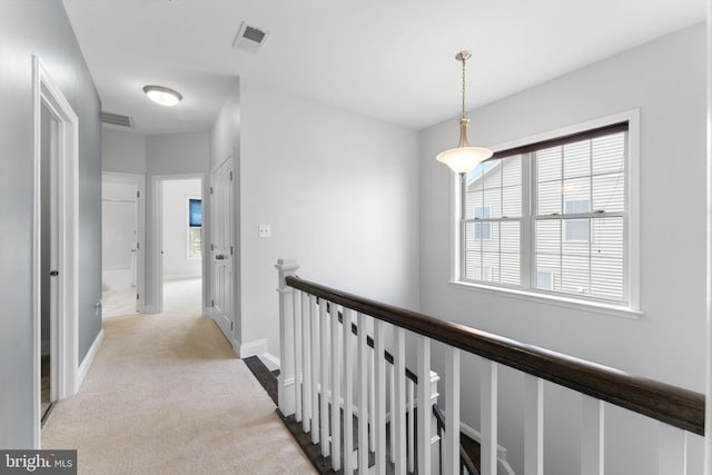 22559 Windsor Locks Sq, Ashburn, VA 20148 - hall with carpet floors, an upstairs landing, and baseboards