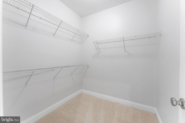 22559 Windsor Locks Sq, Ashburn, VA 20148 - walk in closet featuring carpet