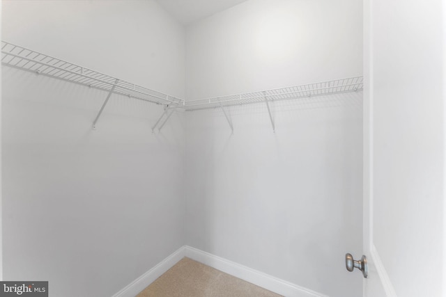 22559 Windsor Locks Sq, Ashburn, VA 20148 - spacious closet with light colored carpet