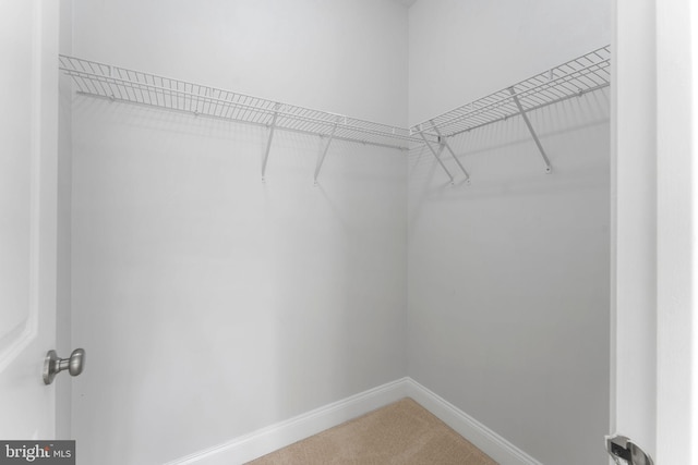 22559 Windsor Locks Sq, Ashburn, VA 20148 - spacious closet with carpet