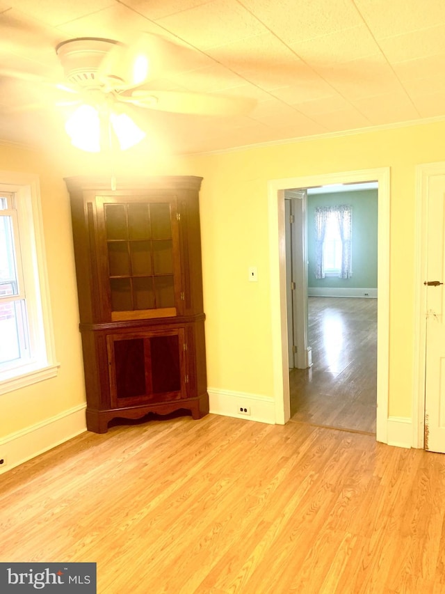 42 E 5th St, New Castle, DE 19720 - unfurnished living room featuring a ceiling fan, ornamental molding, and light wood-style flooring