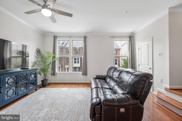 9161 Landon House Ln, Frederick, MD 21704 - living area with wood finished floors, crown molding, a ceiling fan, and baseboards