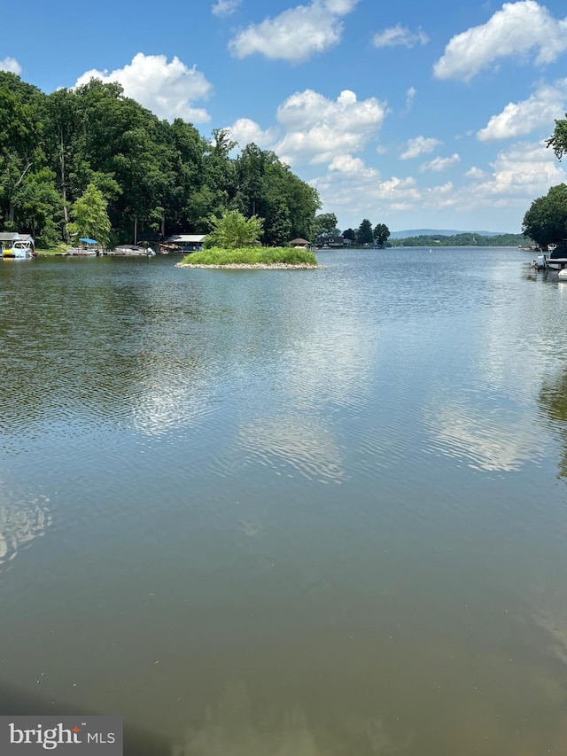 61 Bragg Dr, East Berlin, PA 17316 - water view