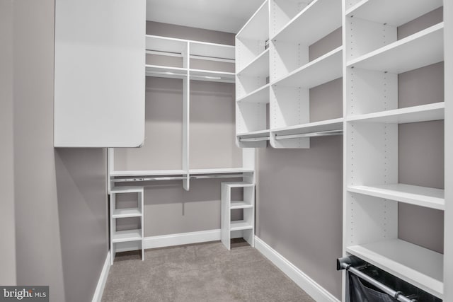 61 Bragg Dr, East Berlin, PA 17316 - spacious closet with carpet floors