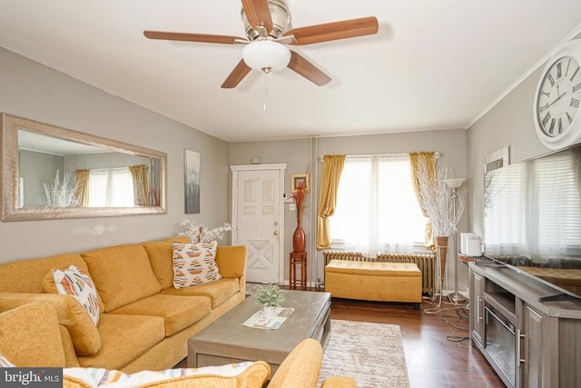 3725 King Ave, Pennsauken, NJ 08110 - living area featuring plenty of natural light, dark wood-type flooring, and a ceiling fan
