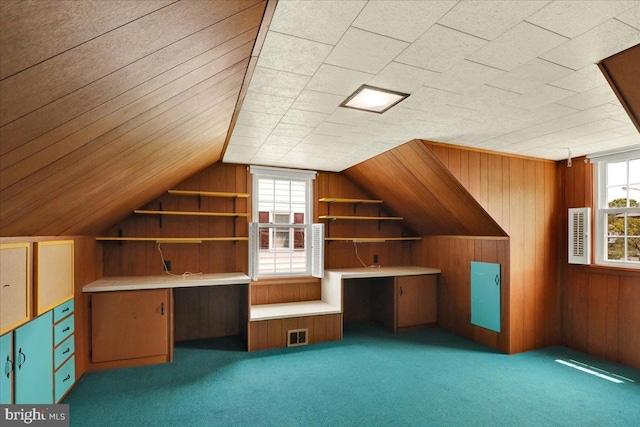 217 E Chestnut St, Cleona, PA 17042 - bonus room featuring plenty of natural light, carpet floors, wood walls, and lofted ceiling