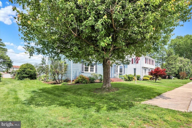 217 E Chestnut St, Cleona, PA 17042 - view of property hidden behind natural elements featuring a front yard