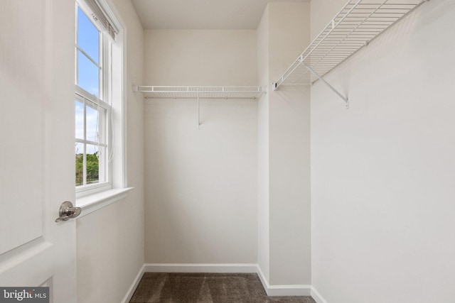 1257 N Fairfax Blvd, Ranson, WV 25438 - walk in closet featuring carpet floors