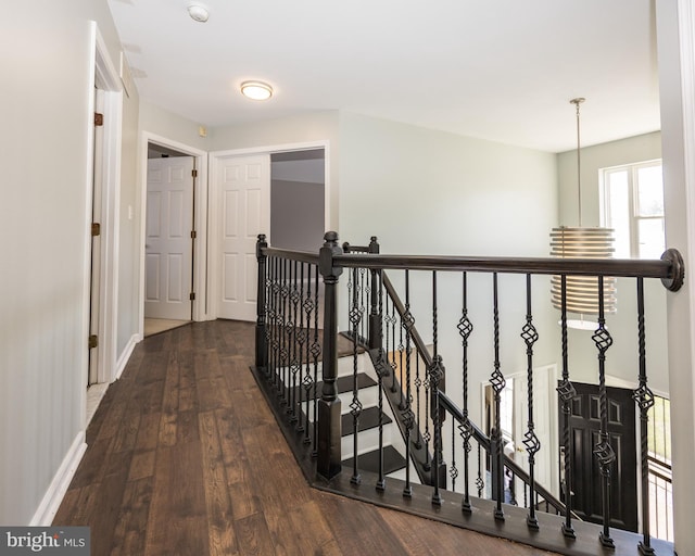 8 Bordeaux Blvd, Newark, DE 19702 - hallway with hardwood / wood-style floors and an upstairs landing