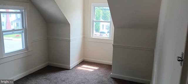 221 Boyd Ave, Winchester, VA 22601 - additional living space featuring plenty of natural light, carpet, lofted ceiling, and baseboards