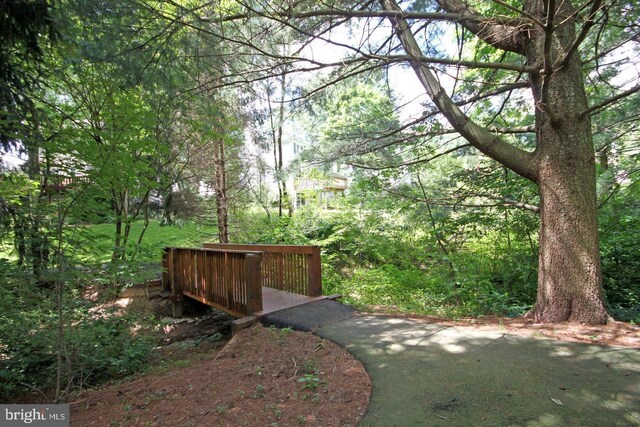 10627 Summer Oak Ct, Burke, VA 22015 - view of yard