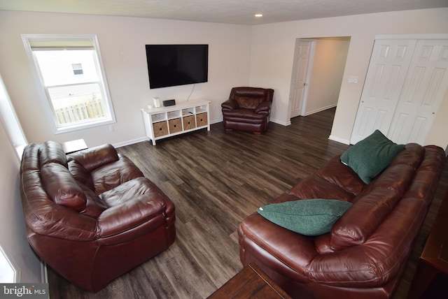 119 Shady Hollow Dr, Pleasant Gap, PA 16823 - living area featuring wood finished floors, baseboards, and recessed lighting