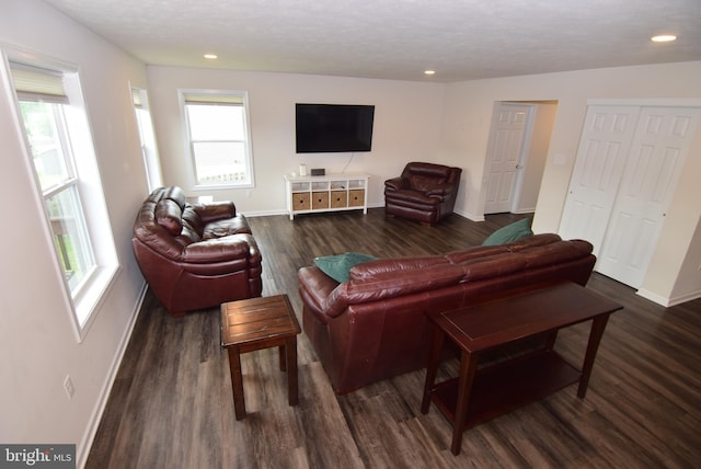 119 Shady Hollow Dr, Pleasant Gap, PA 16823 - living room with healthy amount of natural light, dark wood-type flooring, baseboards, recessed lighting, and a textured ceiling