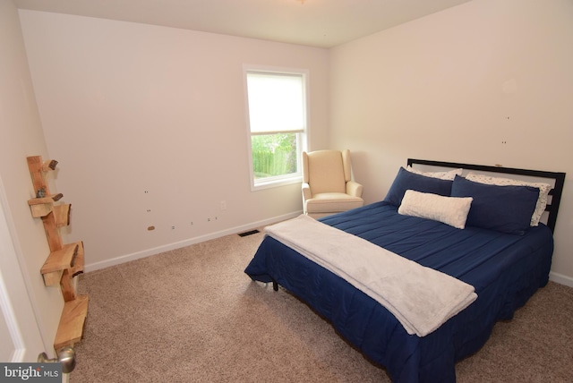 119 Shady Hollow Dr, Pleasant Gap, PA 16823 - carpeted bedroom with baseboards