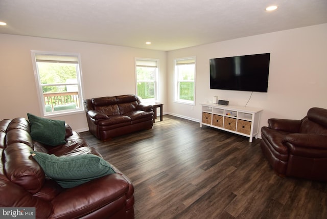 119 Shady Hollow Dr, Pleasant Gap, PA 16823 - living room with wood finished floors, plenty of natural light, recessed lighting, and baseboards