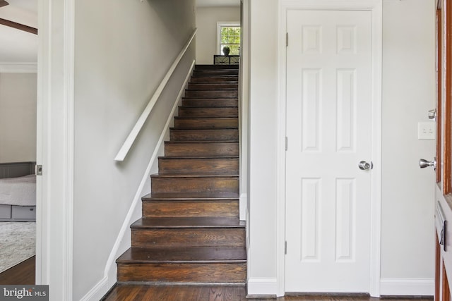 514 Silver Spring Ave, Silver Spring, MD 20910 - stairway featuring wood finished floors and crown molding