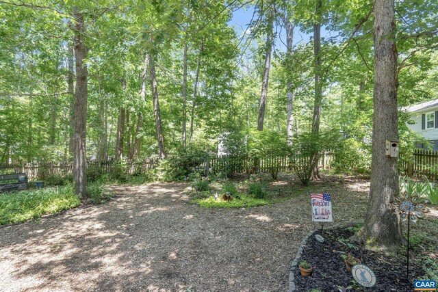 14 Patriot Ln, Palmyra, VA 22963 - view of yard
