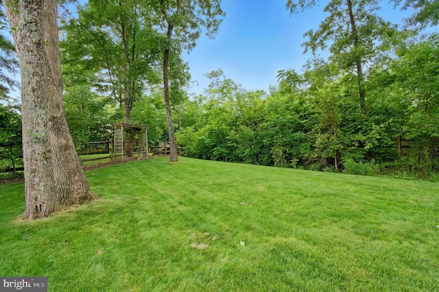 5762 Lichenbark Cir, New Market, MD 21774 - view of green lawn