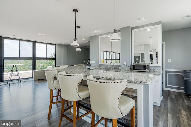 600 Roosevelt Blvd Unit 510, Falls Church, VA 22044 - kitchen with plenty of natural light, dark wood-style flooring, stainless steel microwave, light stone countertops, and a wainscoted wall