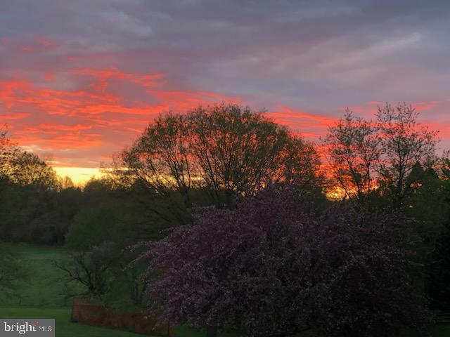 36983 Philomont Rd, Purcellville, VA 20132 - view of nature at dusk