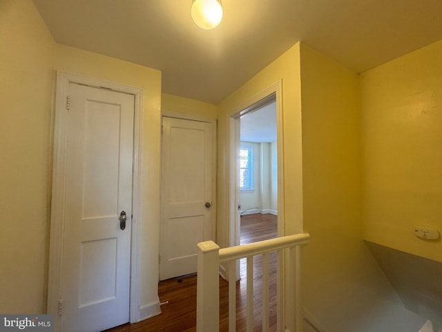 331 Garden Ave, Camden, NJ 08105 - corridor with dark wood-style flooring and baseboards