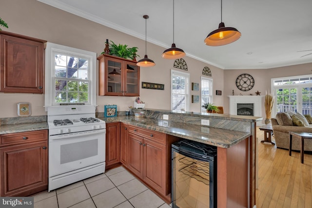 107 Swedes St, Dewey Beach, DE 19971 - kitchen featuring white range with gas cooktop, wine cooler, a peninsula, a fireplace, and open floor plan