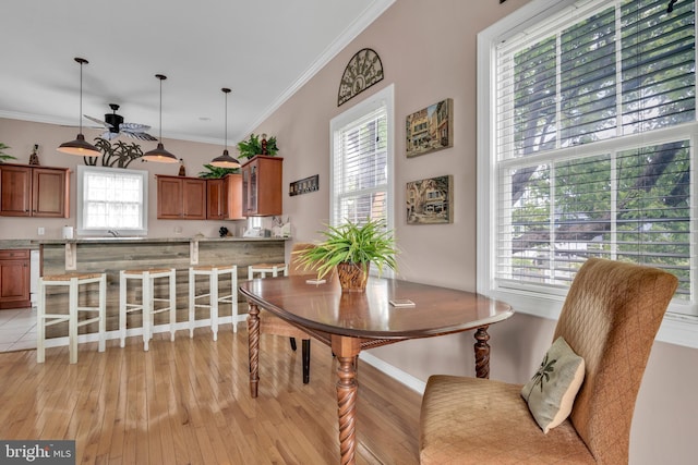107 Swedes St, Dewey Beach, DE 19971 - dining area featuring light wood-style floors, ornamental molding, and a ceiling fan