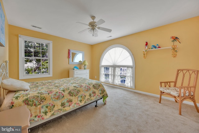 107 Swedes St, Dewey Beach, DE 19971 - bedroom featuring carpet and ceiling fan