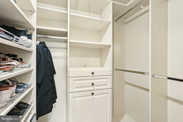 5 Locust Ln, Newtown, PA 18940 - view of walk in closet
