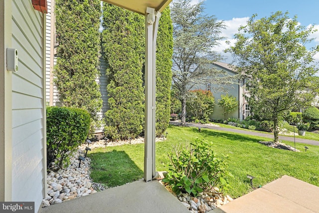 5 Locust Ln, Newtown, PA 18940 - view of green lawn