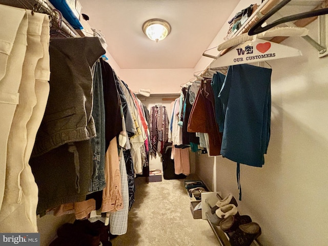 8 Vale Dr, Tabernacle Twp, NJ 08088 - view of walk in closet