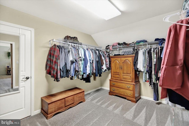 35 Krall Rd, Myerstown, PA 17067 - spacious closet with carpet floors and vaulted ceiling