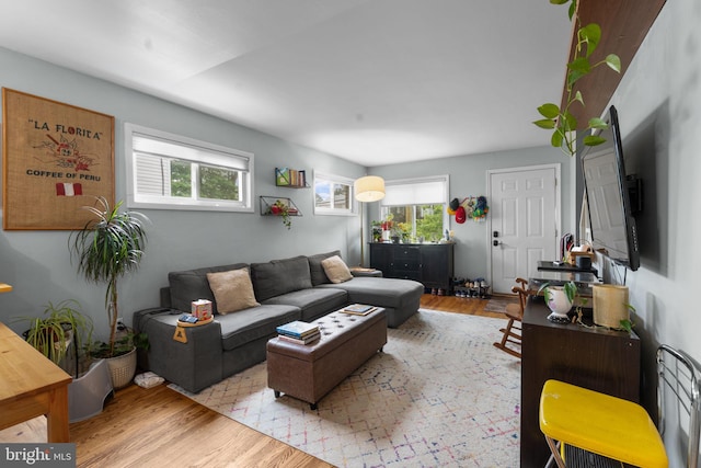 6807 Radcliffe Dr, Alexandria, VA 22307 - living room featuring wood finished floors