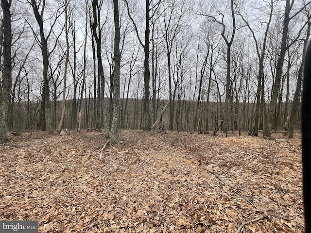 124 Spring Mountain Dr, Zion Grove, PA 17985